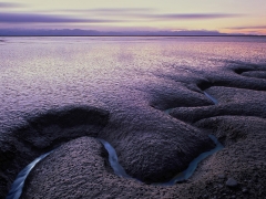 Tidal mudflats Nelson, New Zealand