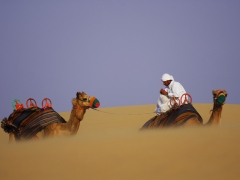 Desert scene, Dubai