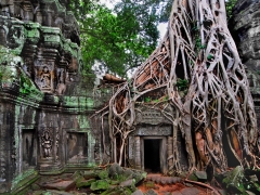 The monastery at Ta Prohm Cambodia